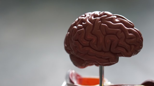 Neurology and brain health medical context